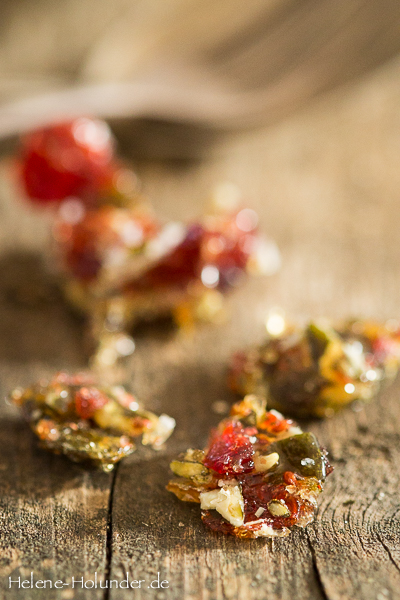 Cranberry-Krokant, vegan, Helene Holunder Cranberry-Krokant, vegan, Helene Holunder